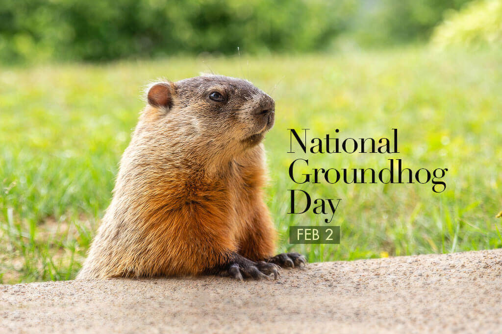 NATIONAL GROUNDHOG DAY 2021 - Fitzgerald Esplin Advertising